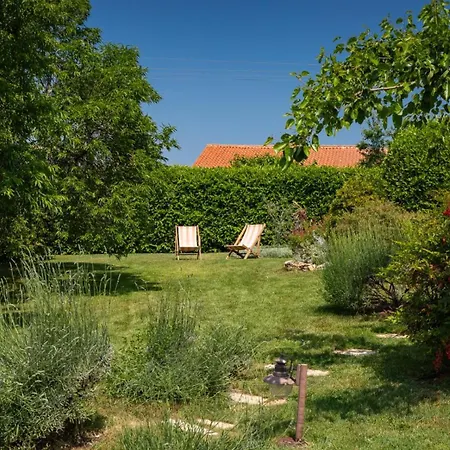 Paradiso By Guide Umag